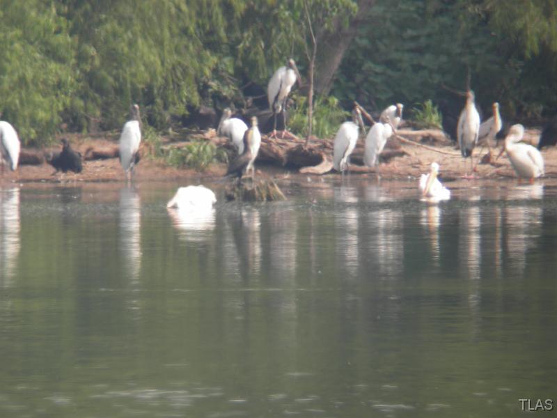 Field Trip  091507 022
